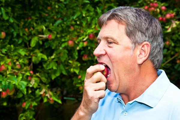 Homem comendo uma maçã — Fotografia de Stock