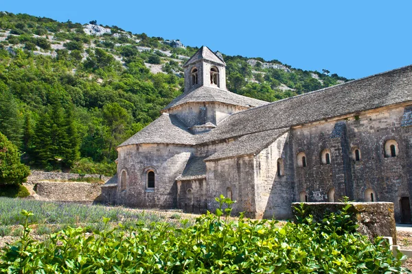 Cloister of Senanque Abbey, Vaucluse, Gordes, Provence, France — Stock Photo, Image