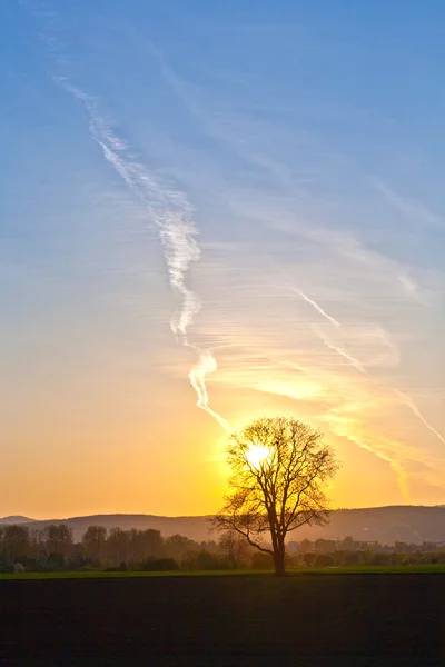 Zachód słońca, Błękitne niebo i drzewa — Zdjęcie stockowe