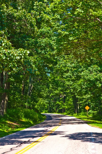 シェナンドア国立公園を通って美しい風光明媚な国道はカーブ. — ストック写真