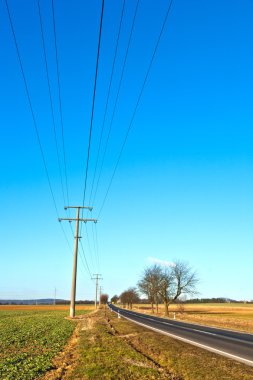 Street with electric power lines and trees clipart