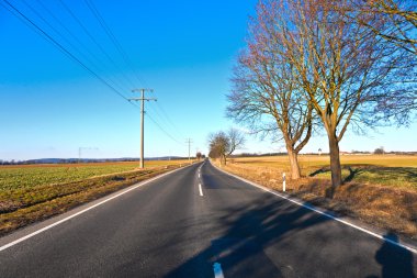 Street with electric power lines and trees clipart