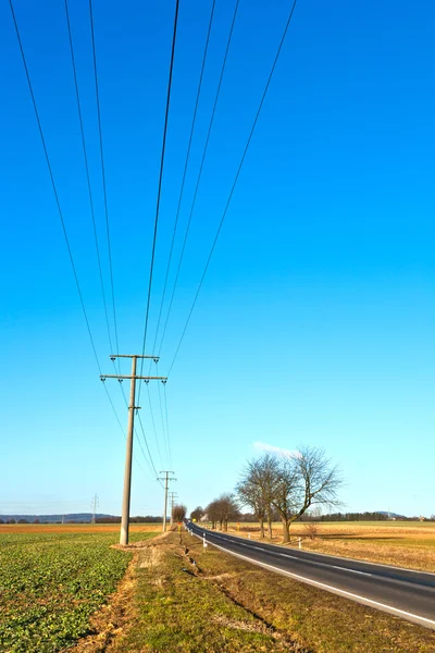 stock image Street with electric power lines and trees