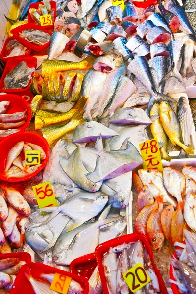 Свежая рыба на рынке — стоковое фото