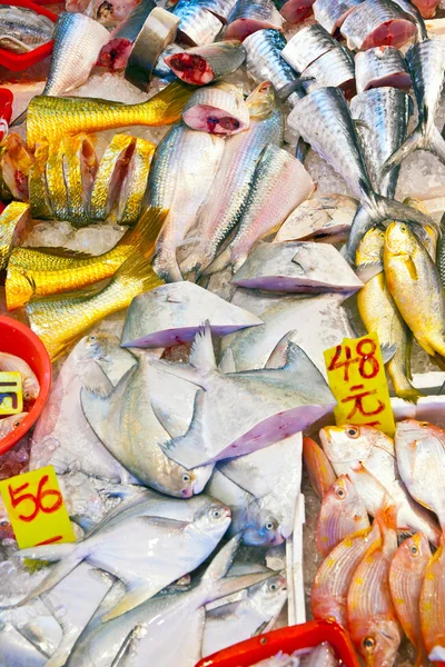 Frischer Fisch auf dem Markt — Stockfoto