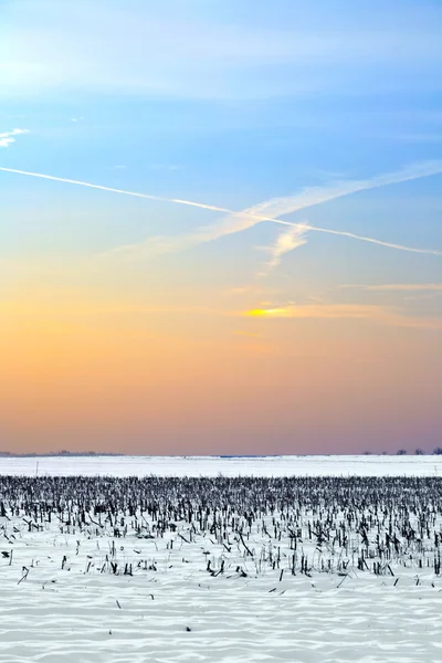 Paisagem com campos cobertos de neve no inverno — Fotografia de Stock