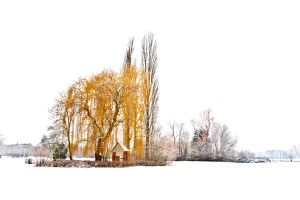 Stromy v zimní krajině — Stock fotografie