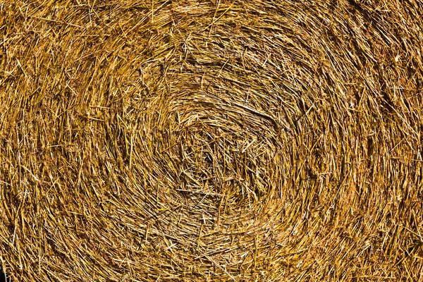 Тюк соломы на поле — стоковое фото