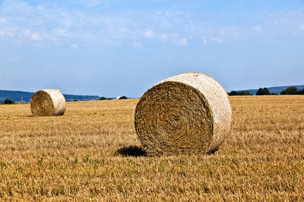 Bale of straw on field — Stock Photo, Image