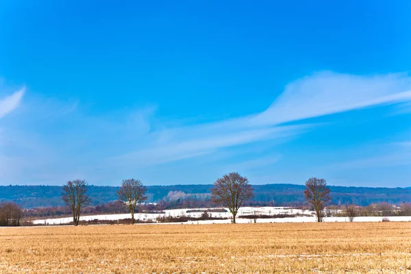 Bellissimo paesaggio con campo in inverno — Foto Stock