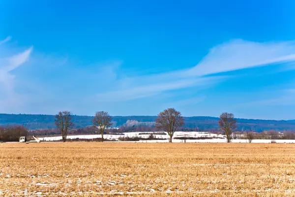 Güzel manzara ile alan kış — Stok fotoğraf