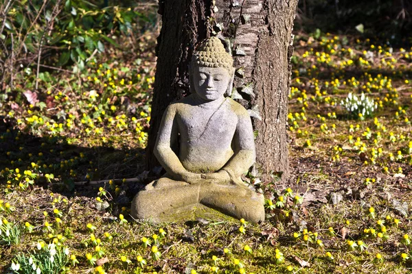Stone buddha meditation in front of a cherry tree — Stock Photo, Image