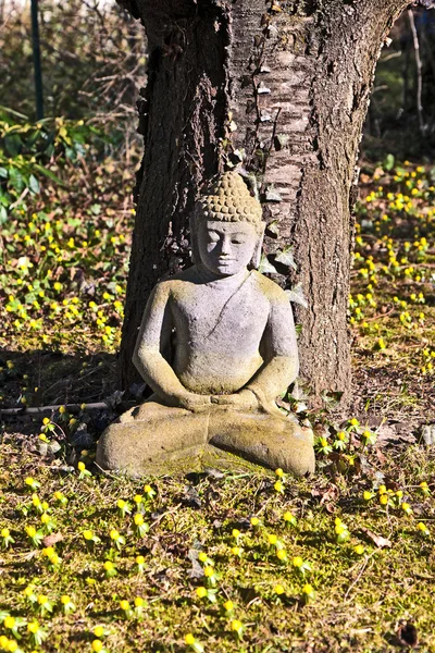 Stone buddha meditation in front of a cherry tree