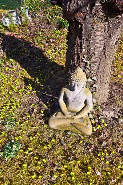 Stone buddha meditation in front of a cherry tree — Stock Photo, Image