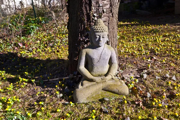 Meditação buda de pedra na frente de uma cerejeira — Fotografia de Stock