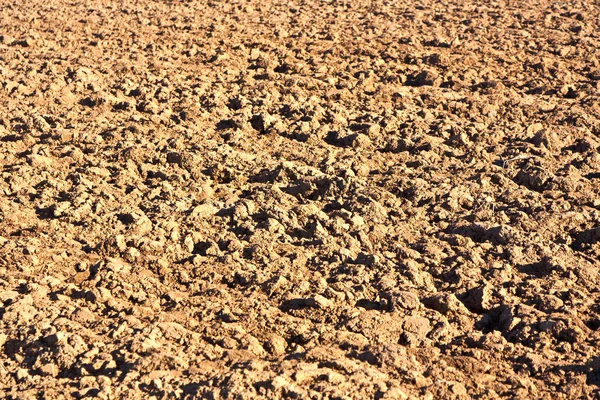 Closeup of a plowed field prepared for new planting. — Stock Photo, Image