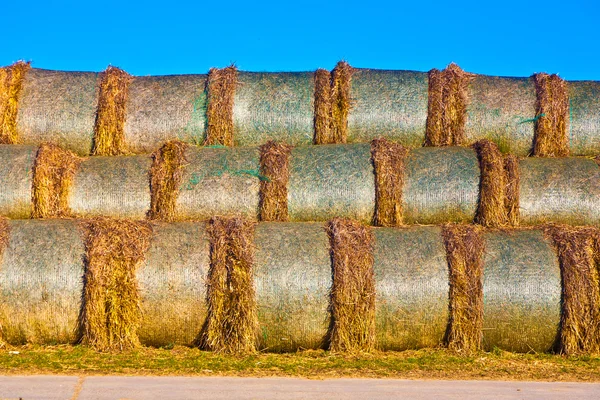 Bale of straw in foil on field with blue sky — Stock Photo, Image