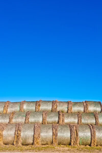 Balle de paille en feuille sur champ avec ciel bleu — Photo