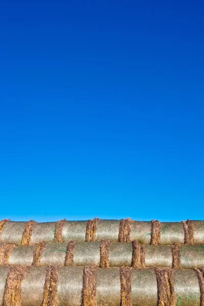 Bale av halm i folie på fältet med blå himmel — Stockfoto