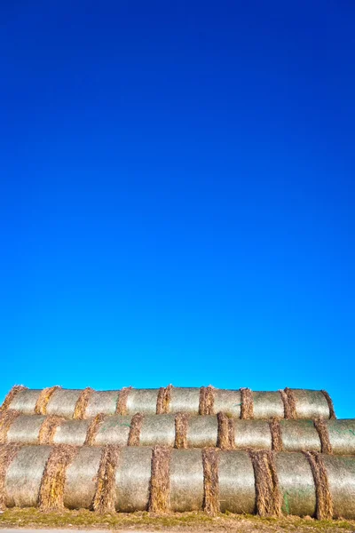 Fardo de palha em folha no campo com céu azul — Fotografia de Stock
