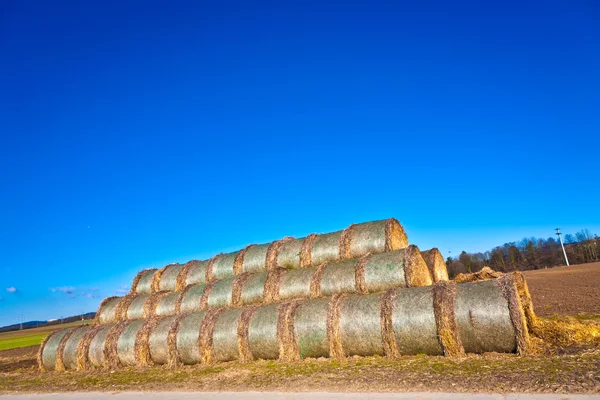Bale of straw in foil on field with blue sky — Stock Photo, Image