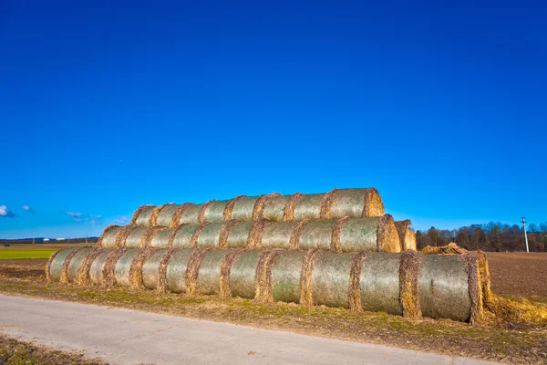 Fardo de palha em folha no campo com céu azul — Fotografia de Stock