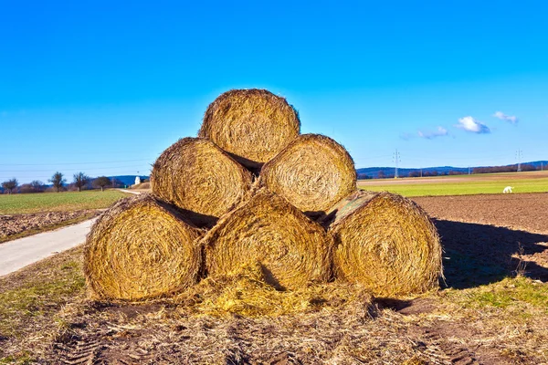 Bale av halm i folie på fältet med blå himmel — Stockfoto