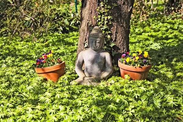 Buda de pedra na frente de uma cerejeira — Fotografia de Stock