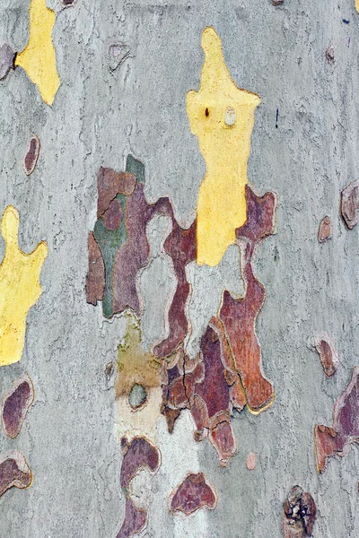 平面木のカモフラージュ模様のクローズアップ — ストック写真