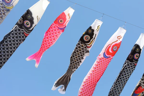 Pipas de carpa japonesas — Fotografia de Stock