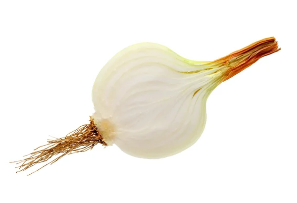 Pokrojoną cebulę — Zdjęcie stockowe