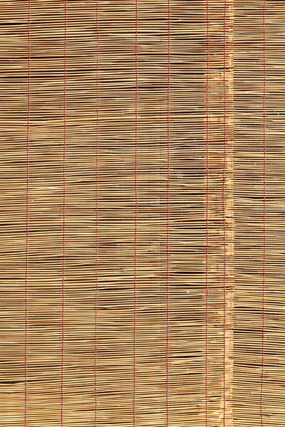 Bambu kör — Stok fotoğraf