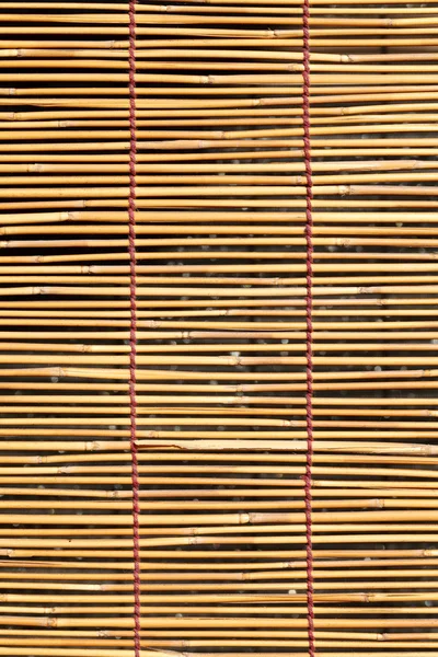 Bamboe gordijn — Stockfoto