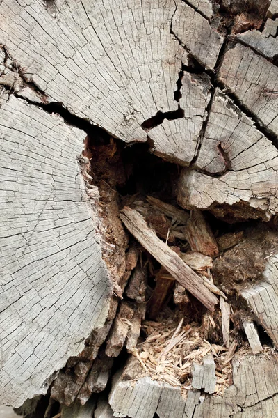 Stary pęknięty drewna — Zdjęcie stockowe