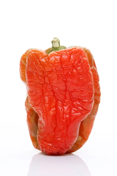 Peperoncino freddo rosso — Foto Stock