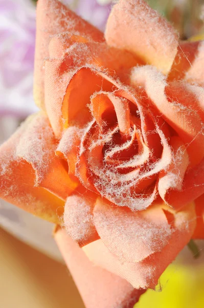 stock image Dust and paper flower