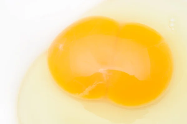 Ägg isolerad på en vit bakgrund — Stockfoto