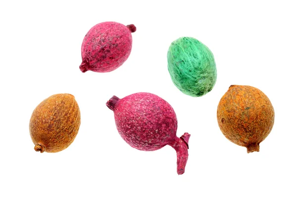 Kleurrijke noten — Stockfoto