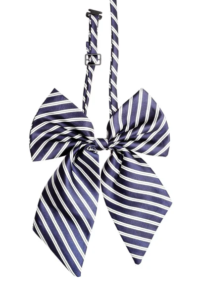 Striped bow tie for women — Stock Photo, Image