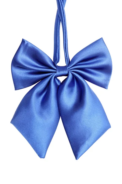 Blue bow tie for women — Stock Photo, Image