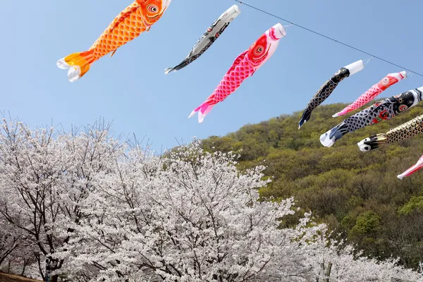 Japanese carp kites — Stock Photo, Image