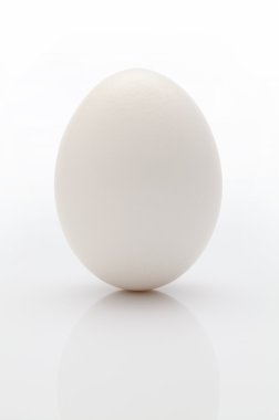 White egg clipart