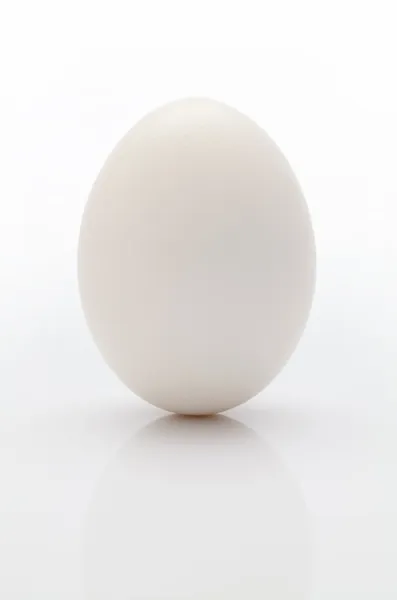 Uovo bianco Fotografia Stock