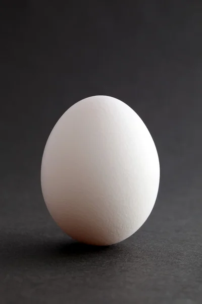 Vita ägg — Stockfoto