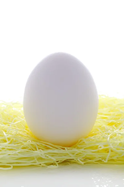 Beyaz yumurta — Stok fotoğraf