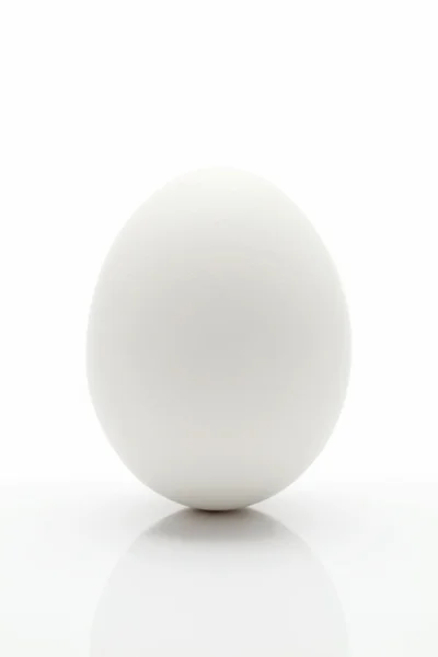 Белое яйцо — стоковое фото