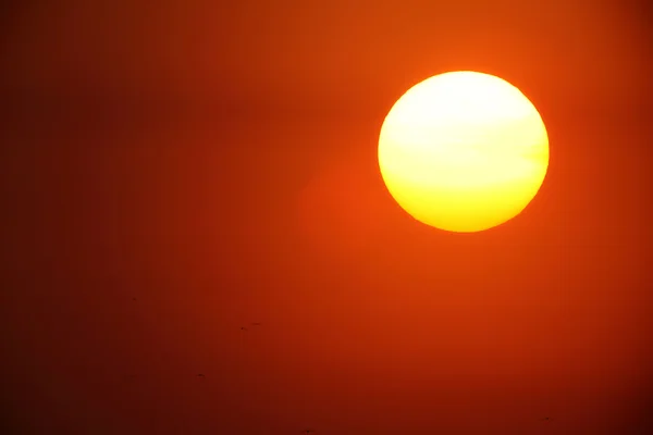 Большой закат солнца — стоковое фото