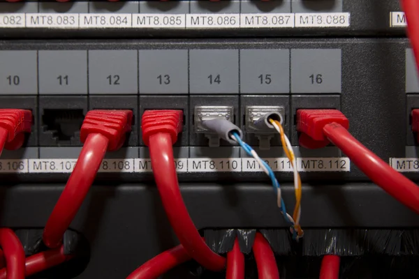 Cordones de conexión e interruptor —  Fotos de Stock
