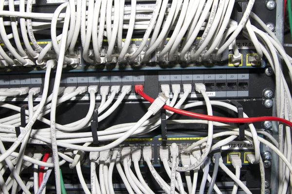 Cordones de conexión e interruptor —  Fotos de Stock