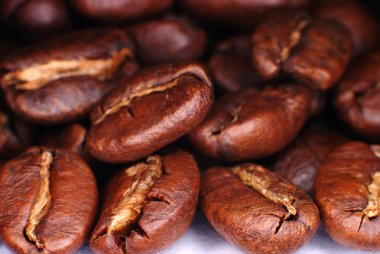 kahve çekirdeği, makro